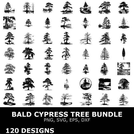 Bald Cypress Tree Digital Clipart Bundle Svg Png Eps Dxf for Cricut Cutting Files Graphic Art DIY Projects - Etsy