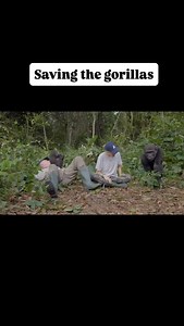 20K reactions · 230 shares | What does the Aspinall Foundation do? The Aspinall Foundation, a world class animal conservation charity, is dedicated to returning captive bred animals to protected wilderness areas and reserves in their native habitats. | Jerry Adriko | Facebook