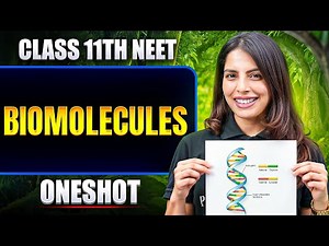 Biomolecules in ONE SHOT | All Concept & PYQ | Basics to Advanced | Class 11 NEET