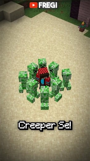 i installed the BEST MOD...