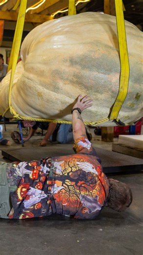 8.5K views · 67 reactions | Pumpkin growers Susie Zuerner and Albert Rodebaugh take you inside the annual N.C. State Fair ‘Great Pumpkin and Watermelon Weigh-Off.’ See who won the competition at https://www.newsobserver.com/news/state/north-carolina/article312487171.html : Robert Willett N.C. State Fair #ncfair #ncstatefair #greatpumpkin #giantpumpkin #giantwatermelon #NorthCarolina #statefair | The News & Observer | Facebook
