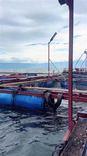 Kerja Keras dengan Syukur: Cara Membuat Lelah Lebih Ringan