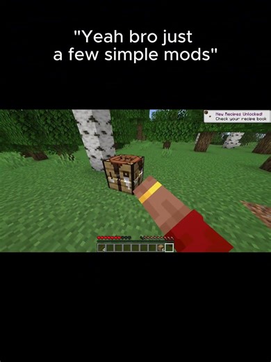 "just a few simple mods"😭😭