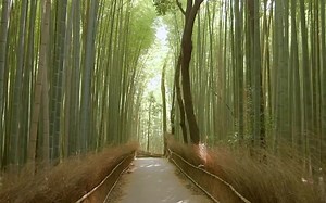 【京都景点】嵐山Arashiyama