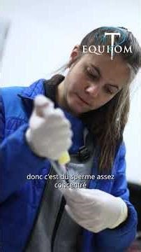 Collecting the horse's semen before castration 👀