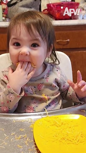 Hilarious Cheese Reaction Compilation