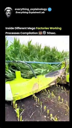 Inside Different Mega Factories Working Processes Compilation