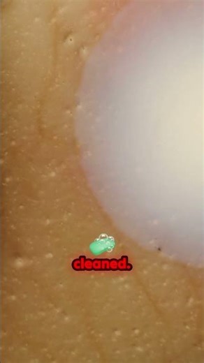 Grossest LCD Clean EVER? Oil Inside a GPS!