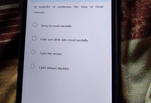 In majority of nephrons, the loop of Henle extendsDeep in rena... | Filo