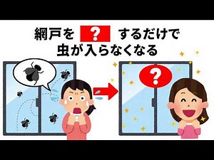 【害虫対策】暑くなる前に！網戸を〇〇にすると虫が入り放題になる理由