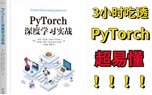 超易懂！【PyTorch深度学习实践】完结合集!超实用的pytorch深度学习课程分享！-人工智能、AI、深度学习、pytorch实战、pythorch教程