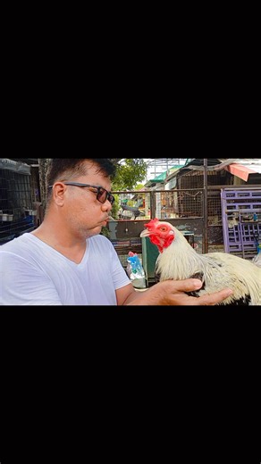 1.8K views · 89 reactions | Back to Back Blessings! Salamat po sa patuloy na pagtitiwala at suporta To God be all the glory. ❤️ | Team Generosity Backyard Game Farm | Facebook