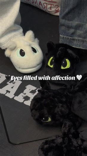 Toothless and Lightfury: A Love Story in the Skies