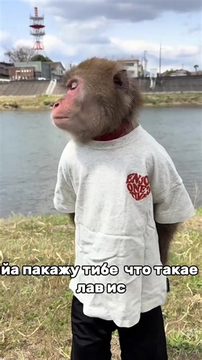 я пакажу тибе что такае лав ис!😘 #селадала #япокажутебечтотакоеловис #fyp #fyp #fyp