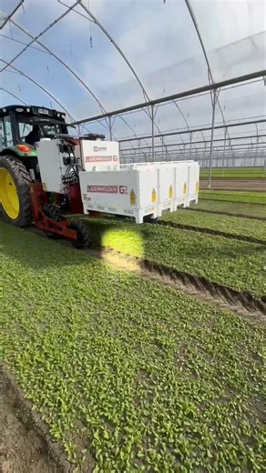 Big news from our farm: we’ve just welcomed the latest AI technology out of America - the Carbon Robotics G2-200 Laser Weeder. This laser-powered legend is here to zap weeds, boost crop quality, and help us farm smarter, cleaner, and greener. 🌱💥 This game-changing technology will revolutionise the way we farm salad leaf. It’s a huge leap forward for our farm and a win for the planet. Less waste, better soil health, and more fresh greens for Kiwis to enjoy. 🥗 Massive shoutout to the crew who m