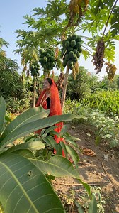 Lai ja ne lerida 🥰#joshivandana | Vandana Joshi