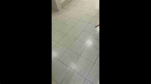 Overseas student shocked by rudimentary toilets in China