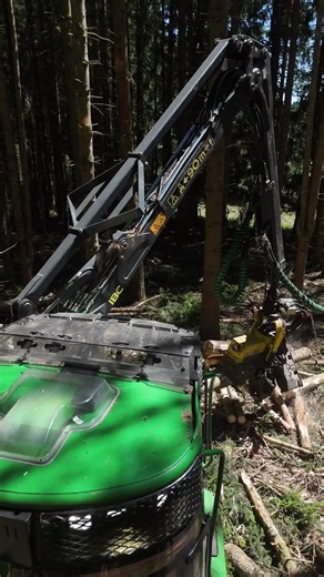 Logging Life Humor on the Job Site