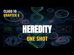 Heredity Class 10 | Full NCERT Chapter Explained (Infinity Education)
