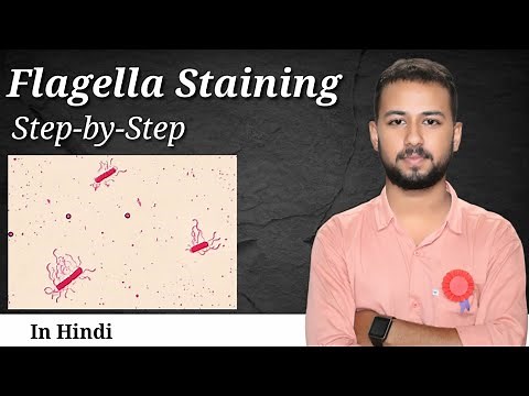 Flagella staining by leifson method | flagella staining procedure | flagella staining microbiology