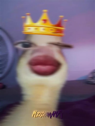 Explore the Fun Duck Filter on Instagram