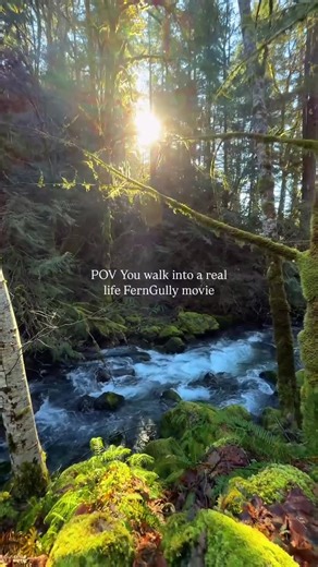 #FernGullyFriday IRL 💚🌿 FernGully shot by @spirithiker 🔗 FernGully: The Last Rainforest OST now streaming on @spotify & @applemusic 🎥 Watch now @shoutfactorytv #FernGully #Nature #Animation