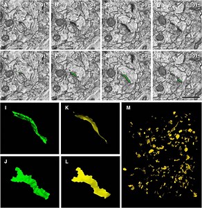 Easyfit 5.5 Professional Serial