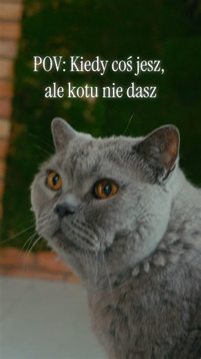 Our adventures with Rycho are already on the channel :)