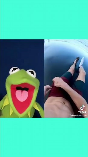 Kermit The Frog Reacts To Socks On The Beach ?!?! TikTok