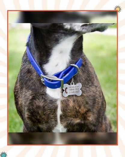 Call My People Dog ID Tags - 3 Designs