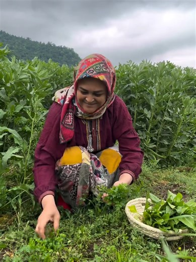 Explore the United States: A Journey Through Diversity