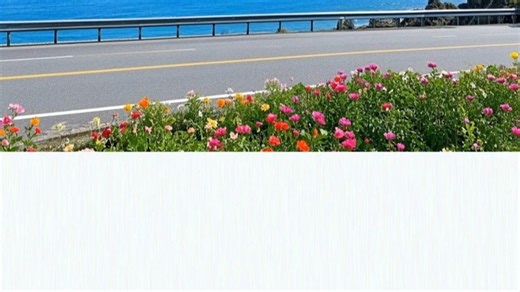 【每日习语】Idiom-375:Live a lie.