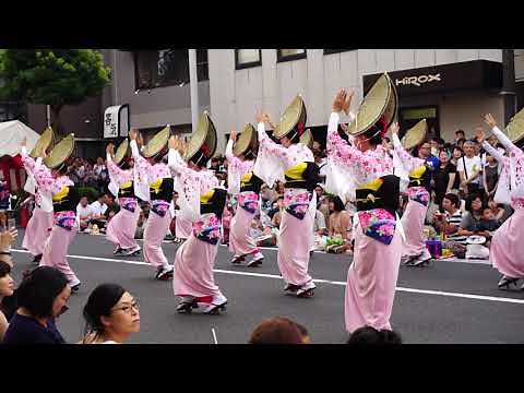高円寺阿波おどりTokyo dance Koenji Awa Odori（dance） Festival 東京観光 夏祭り