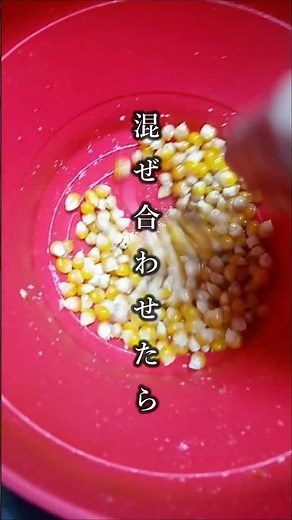 電子レンジでできるポップコーンづくり #ポップコーン #popcorn #自給自足