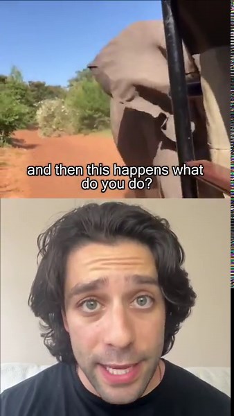 Elephant attack survival tactics that work