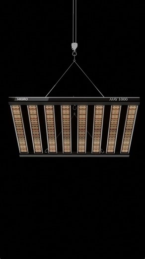 Is This The Most Efficient 1000W LED? 💡⚡️