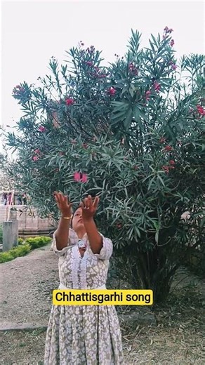 jhan aabe bhule hamar para #lallu Raja #Basanti rangili #Chhattisgarhi song