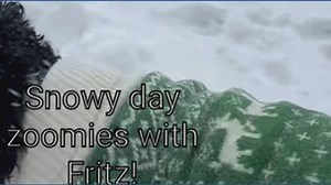 Snowy day fun in Summit County