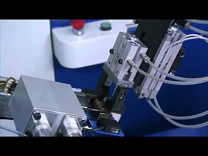 Vertical Rotary Transfer Machine/ 3D Vision Guided Robotic Technology /Articulated Manipulator