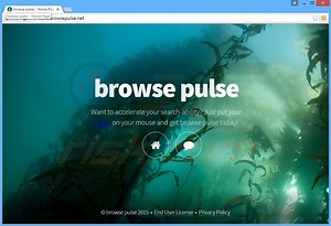 Ads by Browse Pulse