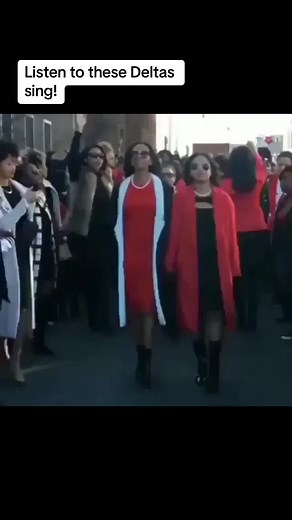 Turn on the sound and listen to them sing! 🙌🏾🔺 @harmonic_diva_9 #DST1913 #DeltaSigmaTheta