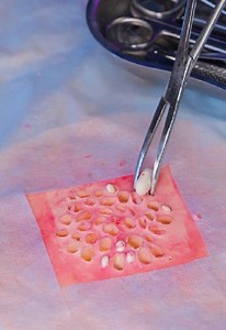 29K views · 87 reactions | Surprising Body Hacks & Medical Secrets You Won’t Believe! | 5-Minute Workouts | Facebook