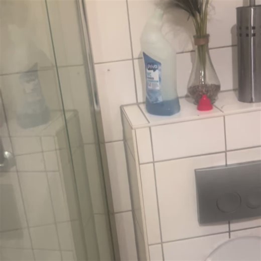 Gulp #scared #spider #viral #funny