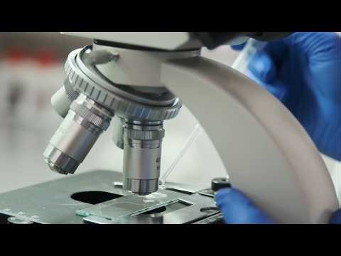 5 Amazing Real Life Applications of Refraction of Light