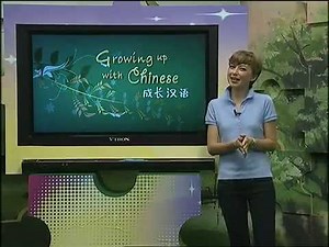 Growing up with chinese - Lesson 44/100 - Lost and found