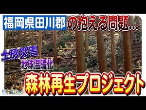 福岡の森で行われる森林再生の取り組み、荒廃する山を救え！日本財団 海と日本PROJECT in ふくおか 2023 #02
