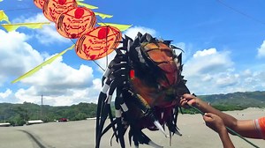 Layangan Naga Motif Predator | Aurelia Eva Official