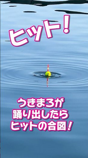[Learn in 1 minute] Short throw sabiki 🎣 #Gamakatsu #Ukimaro #Fishing
