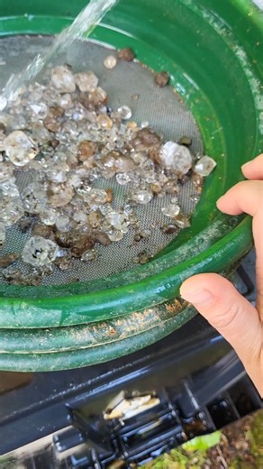 7K views · 361 reactions | NEW DIG ZONE ANNOUNCEMENT!!! ⚒️ Wanna...