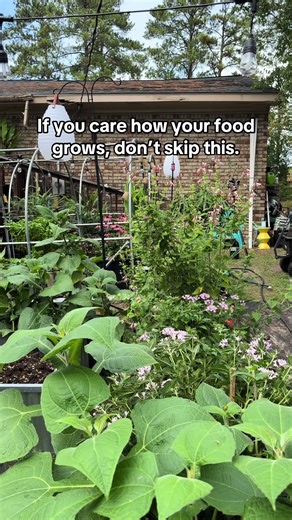 Cooking with Beef Tallow: Healthy Cast Iron Recipes